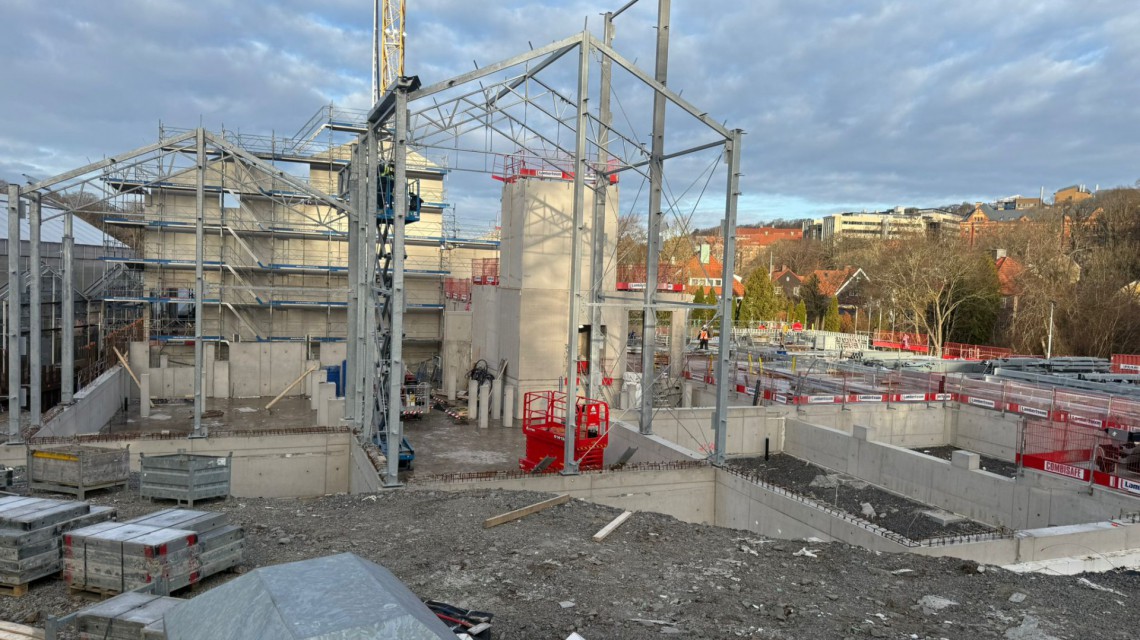 Botanical glasshouse construction 1