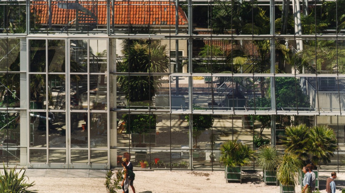 Hortus Botanicus Leiden 05