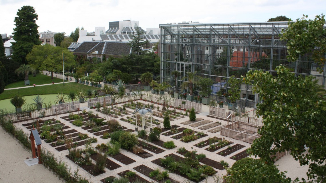 Hortus Botanicus Leiden 06