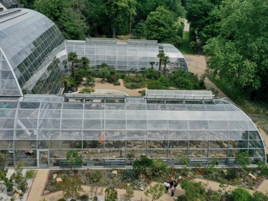 Botanic garden Flora Cologne tropical glasshouse