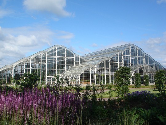 botanical glasshouse Wisley8