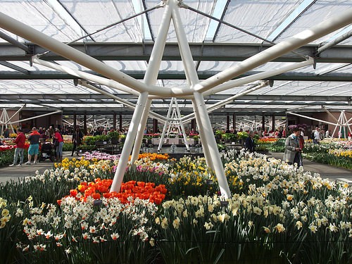 Keukenhof