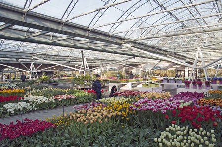 WA Keukenhof paviljoen