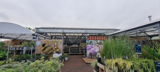 Renovation roof garden centre Ruxley Manor