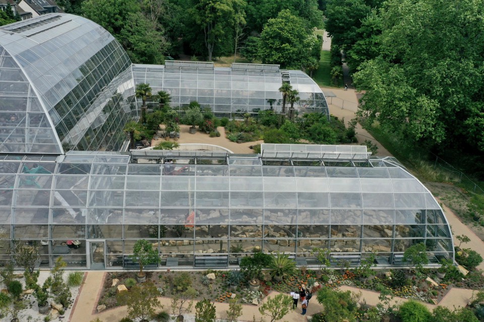 Botanic garden Flora Cologne tropical glasshouse